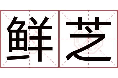 芝名字意思